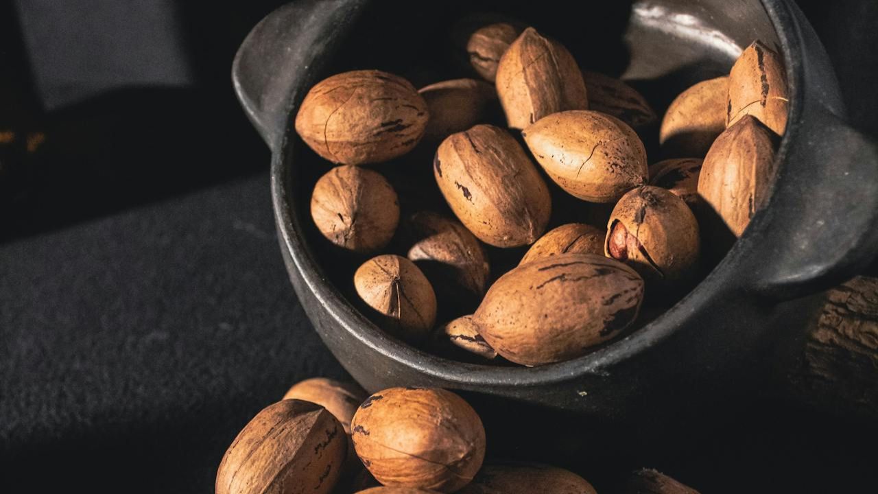 Pecan Shells Your Ultimate Guide to Surprising Uses