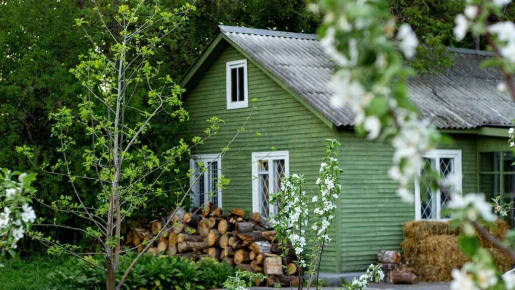 The Green Olive Effect: Food, Fashion & Home Differences