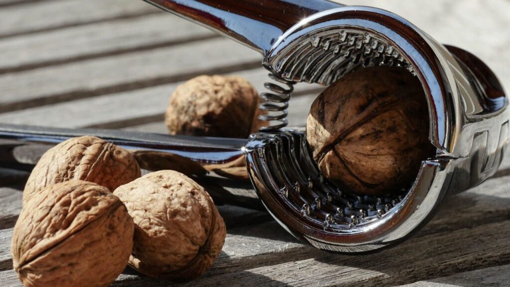 What Are Pecan Shells