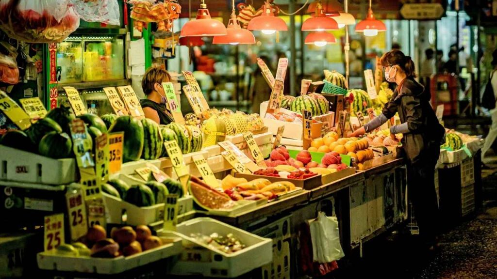 Exploring Practical and Sustainable Alternatives