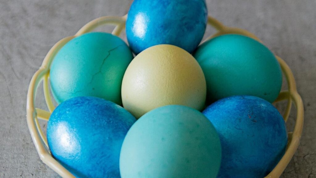 Storing and Displaying Your Beautiful Rainbow Eggs