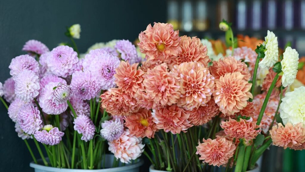 Popular Flowers in the Victorian Peach Palette