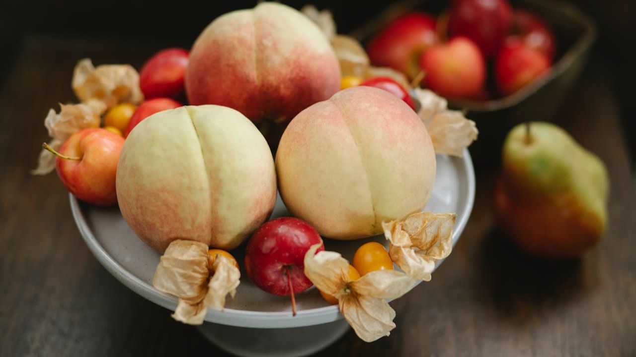 Victorian Peach Timeless Bloom Journey